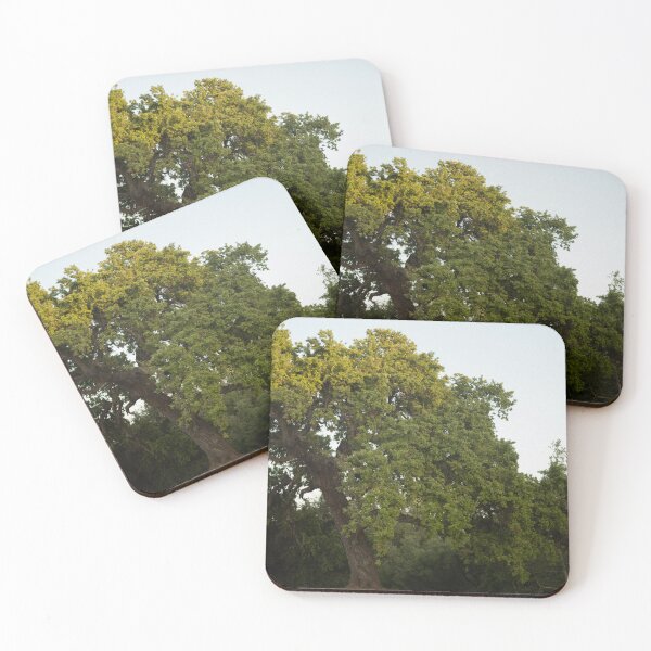 Item preview, The Wise Oak of Agoura (2023) designed and sold by LucythePhoenix.