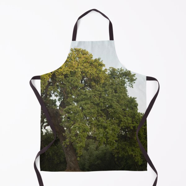 Item preview, The Wise Oak of Agoura (2023) designed and sold by LucythePhoenix.