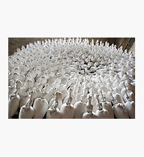 the swarm Photographic Print