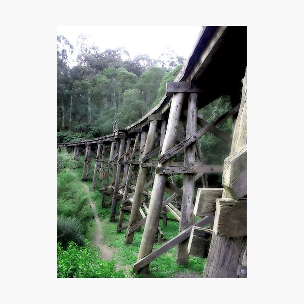 Item preview, Selby Trestle Bridge designed and sold by Beth A.