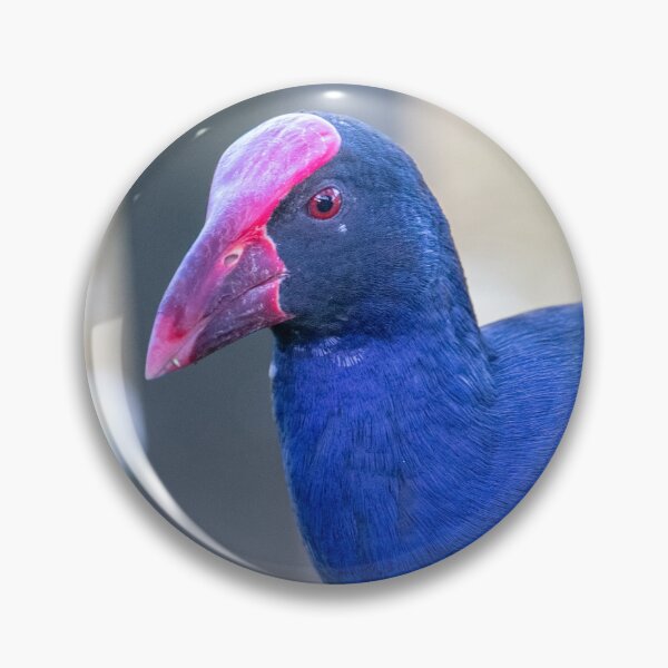 Item preview, Pukeko designed and sold by Jacquiamber.