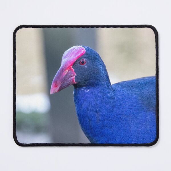 Item preview, Pukeko designed and sold by Jacquiamber.