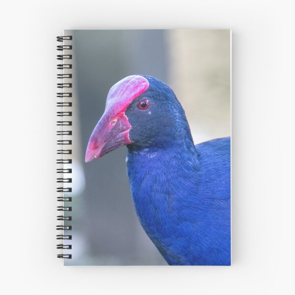 Item preview, Pukeko designed and sold by Jacquiamber.