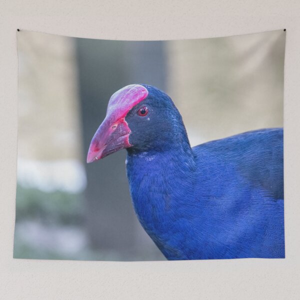 Item preview, Pukeko designed and sold by Jacquiamber.
