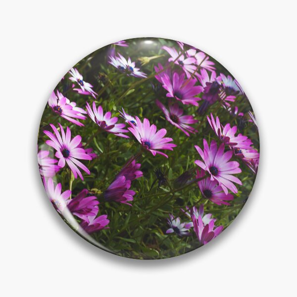 Item preview, Standing In Beautiful Daisies  designed and sold by Joy Watson - Natural Light Photography .