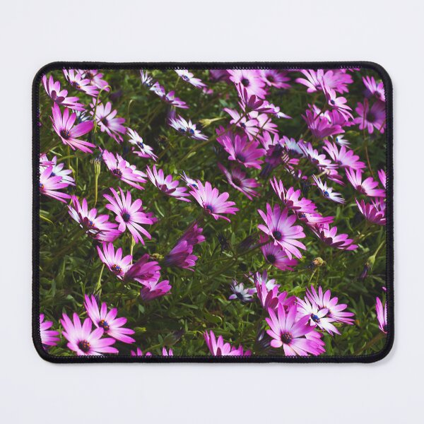 Item preview, Standing In Beautiful Daisies  designed and sold by Joy Watson - Natural Light Photography .