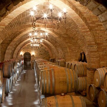 Artwork thumbnail, Wine barrels in a winery, California (C021/3159) by SciencePhoto