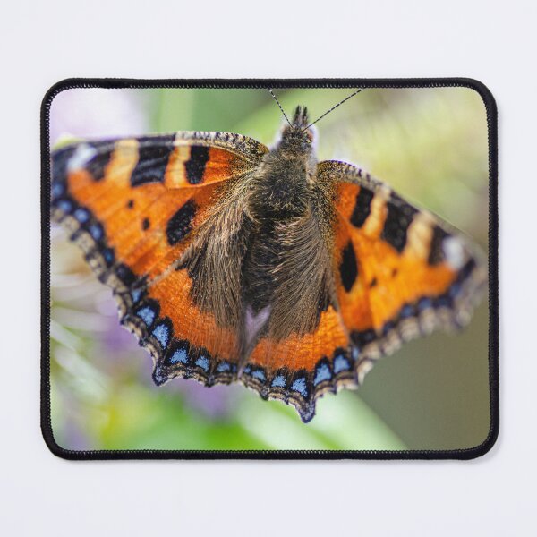 Item preview, Short tortoiseshell designed and sold by Martina Fagan.