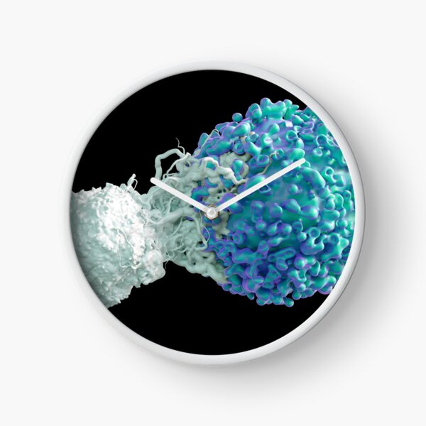 Item preview, T cell attacking cancer cell (C024/7502) designed and sold by SciencePhoto.