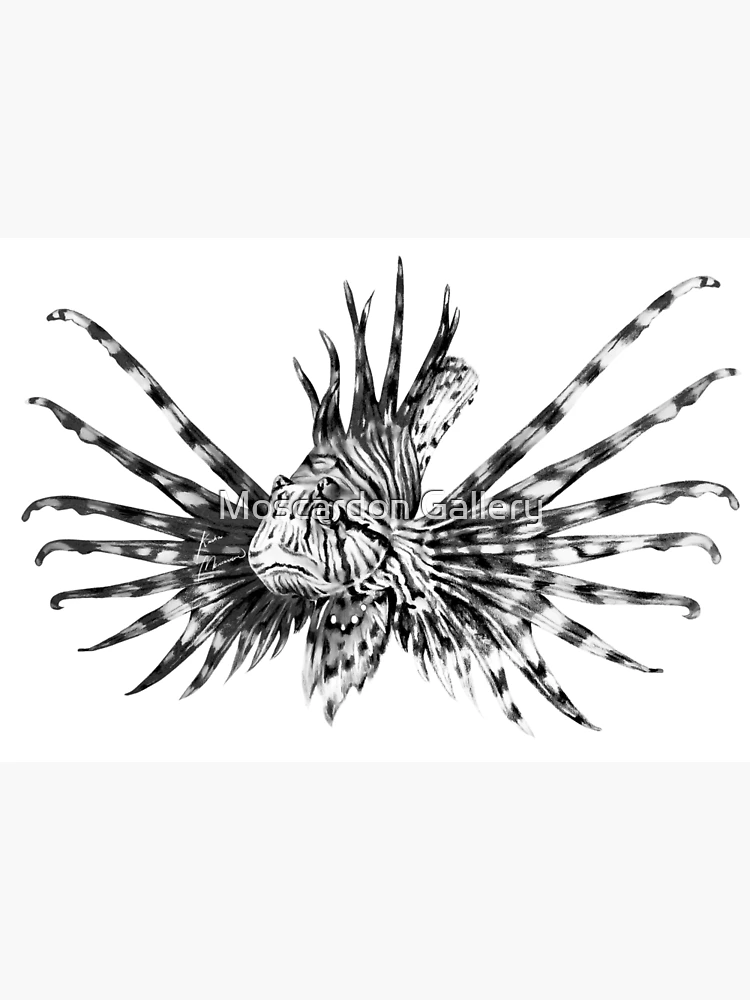 Lion Fish by Marty Wilson - Leeward Look