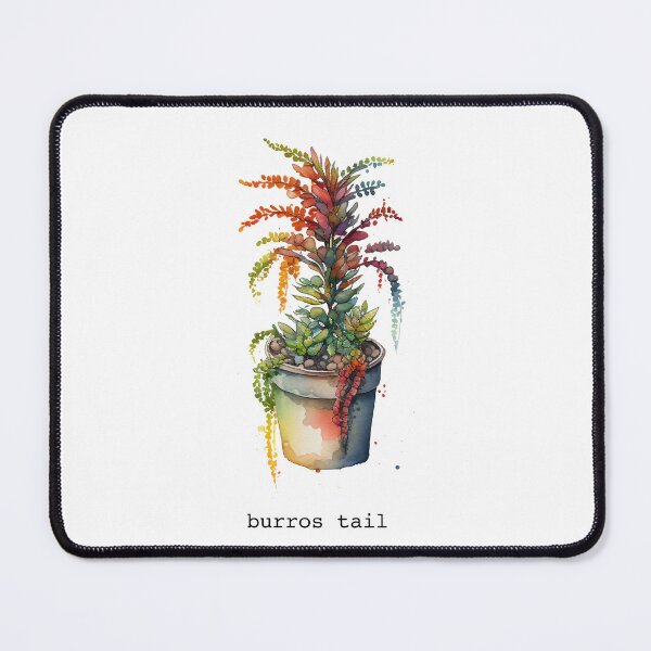 Item preview, Burros Tail, Mexican Plant designed and sold by WalterWhatFace.