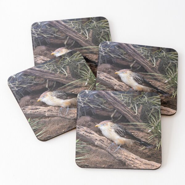 Item preview, Guira cuckoo designed and sold by DonnaM.