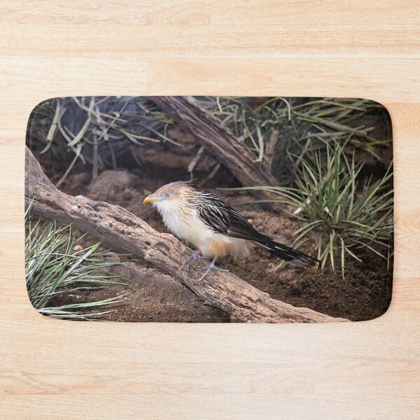 Item preview, Guira cuckoo designed and sold by DonnaM.