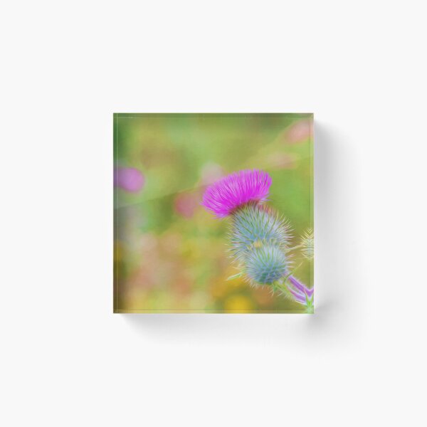 Item preview, Wild Flower designed and sold by Veikko  Suikkanen.