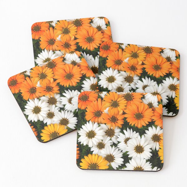 Item preview, Gazania radiant (Gazania rigens) - is an ornamental plant II designed and sold by Rostislav Bouda.
