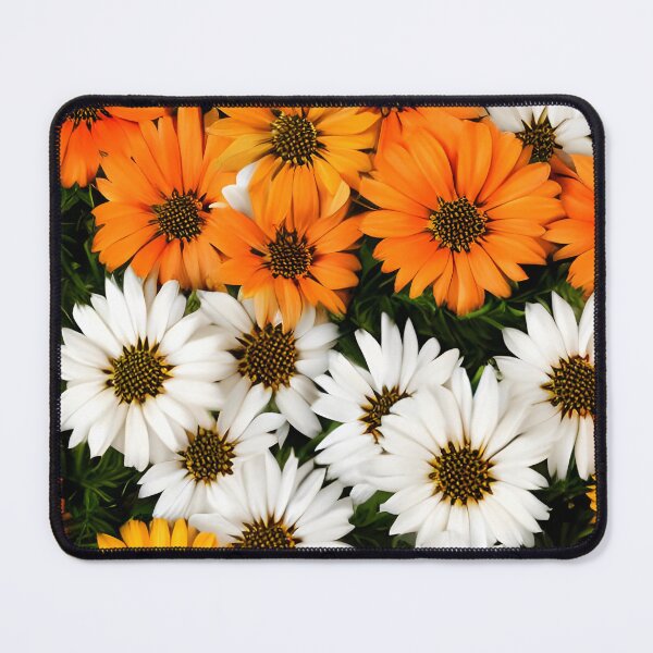 Item preview, Gazania radiant (Gazania rigens) - is an ornamental plant II designed and sold by Rostislav Bouda.
