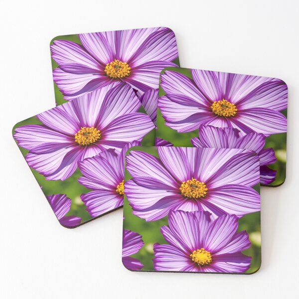 Item preview, Cosmos bipinnatus - a beautiful decoration of our gardens designed and sold by Rostislav Bouda.