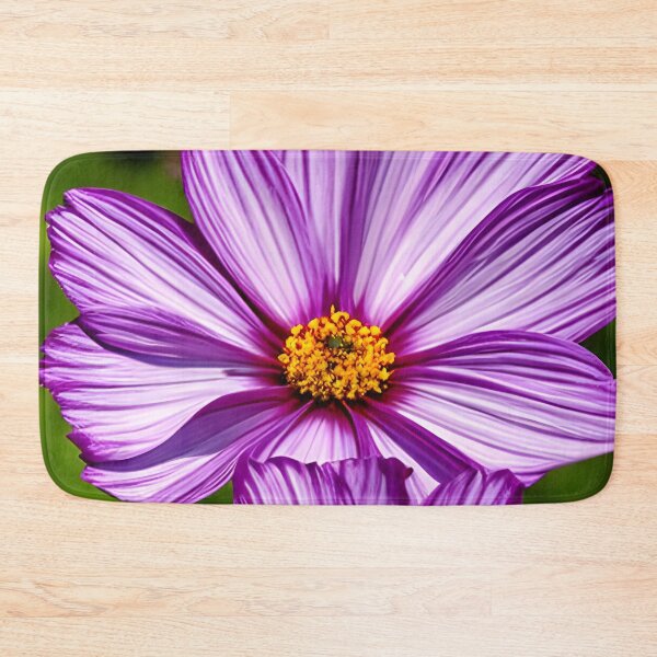 Item preview, Cosmos bipinnatus - a beautiful decoration of our gardens designed and sold by Rostislav Bouda.