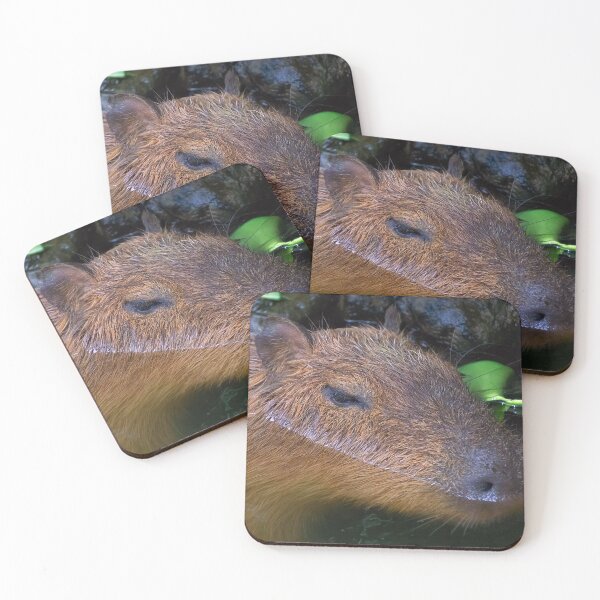 Item preview, portrait of a capybara designed and sold by likbatonboot.