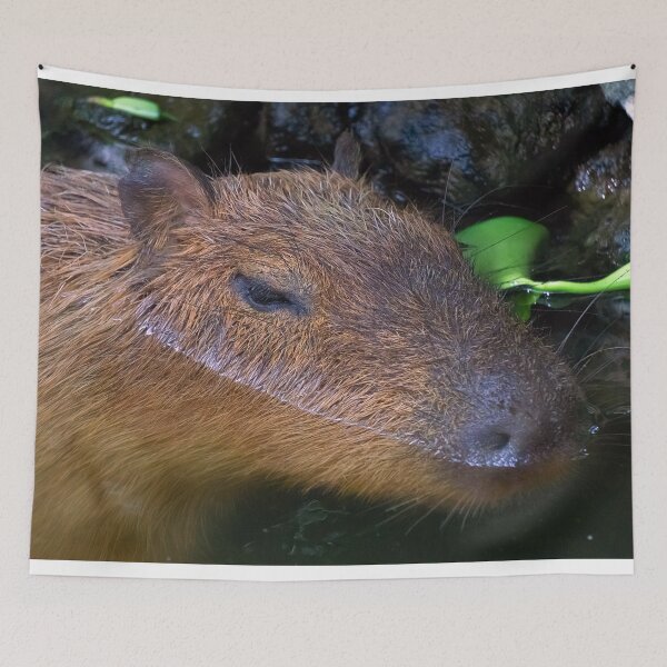 Item preview, portrait of a capybara designed and sold by likbatonboot.