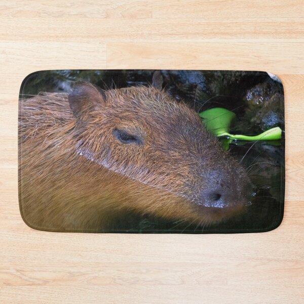 Item preview, portrait of a capybara designed and sold by likbatonboot.