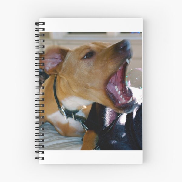 Item preview, Butters and bubble designed and sold by BreeFarinaPhoto.