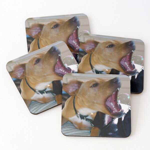 Item preview, Butters and bubble designed and sold by BreeFarinaPhoto.