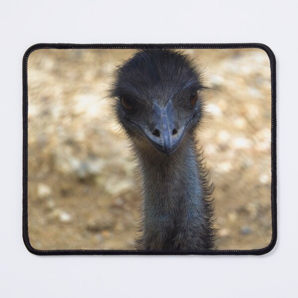 Item preview, young ostrich portrait designed and sold by likbatonboot.