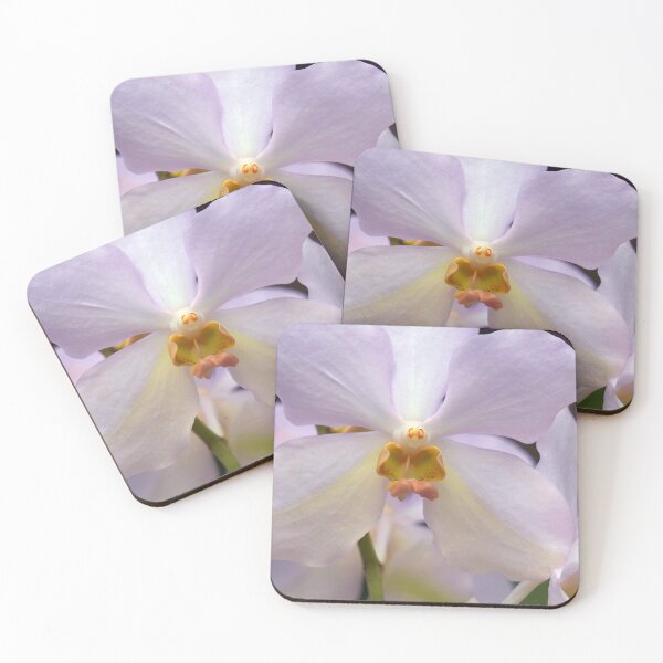 Item preview, closeup of a white orchid designed and sold by likbatonboot.