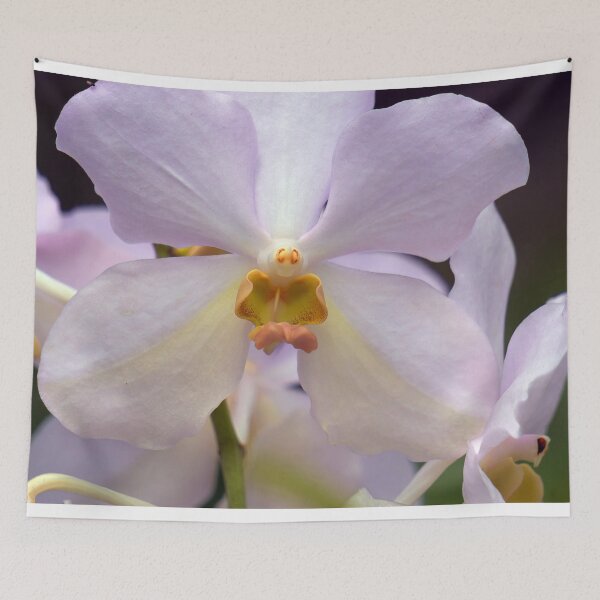 Item preview, closeup of a white orchid designed and sold by likbatonboot.