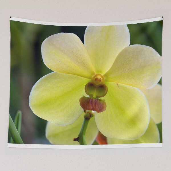 Item preview, closeup of a yellow orchid designed and sold by likbatonboot.
