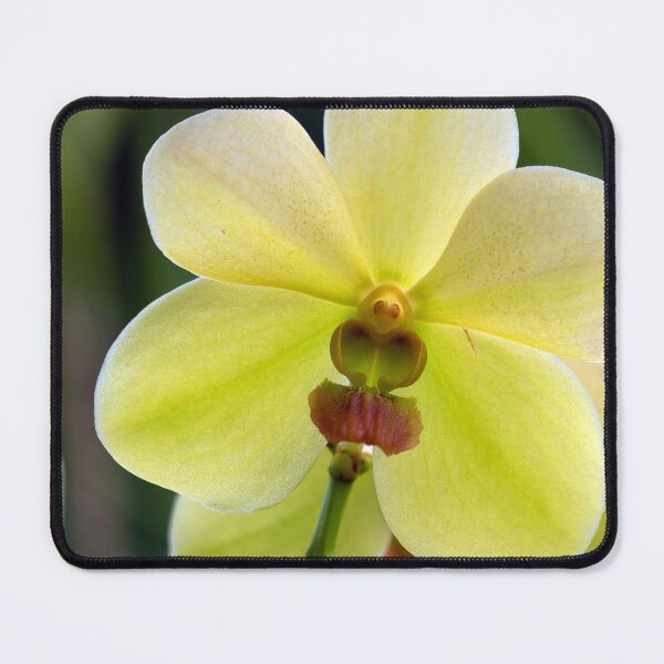 Item preview, closeup of a yellow orchid designed and sold by likbatonboot.