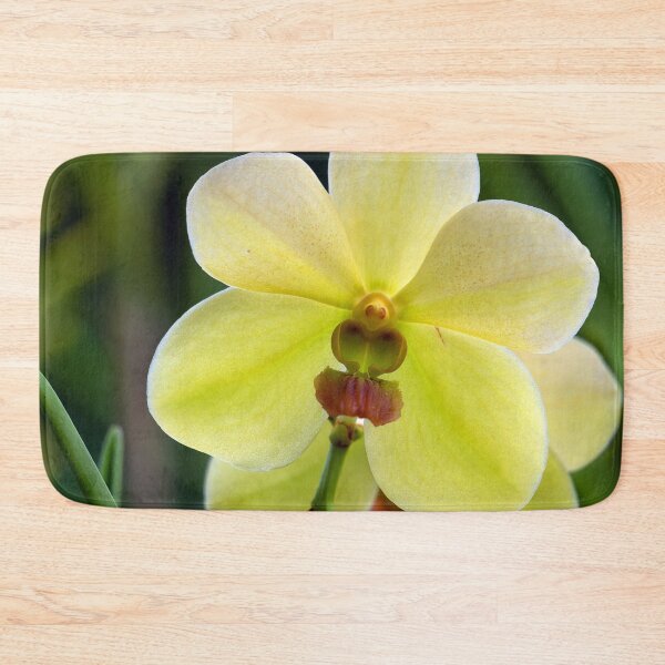 Artikelvorschau, Nahaufnahme einer gelben Orchidee entworfen und verkauft von likbatonboot.
