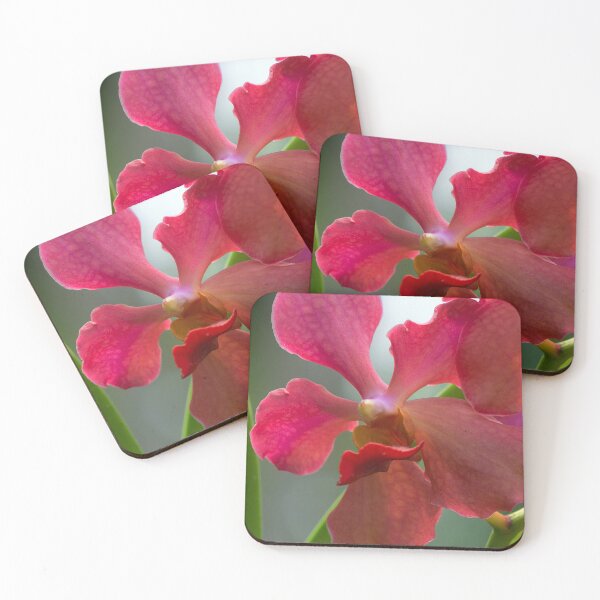 Item preview, closeup of a pink orchid designed and sold by likbatonboot.