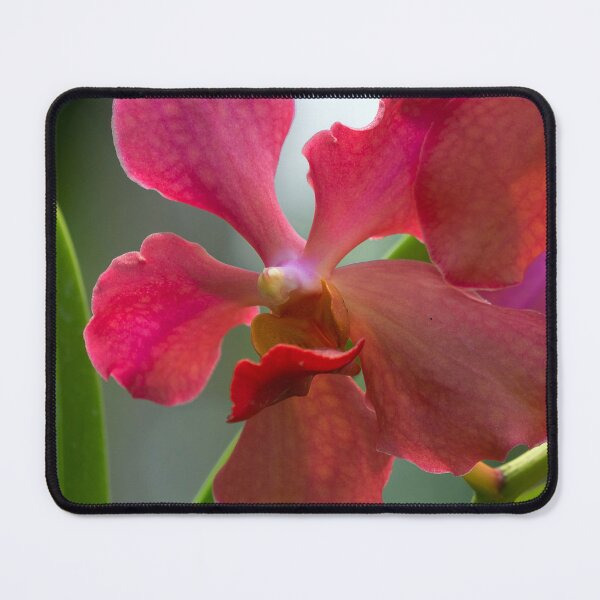 Item preview, closeup of a pink orchid designed and sold by likbatonboot.