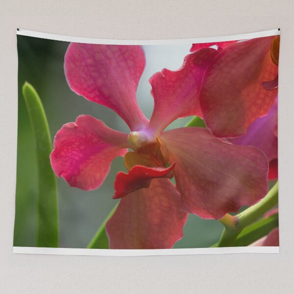 Item preview, closeup of a pink orchid designed and sold by likbatonboot.