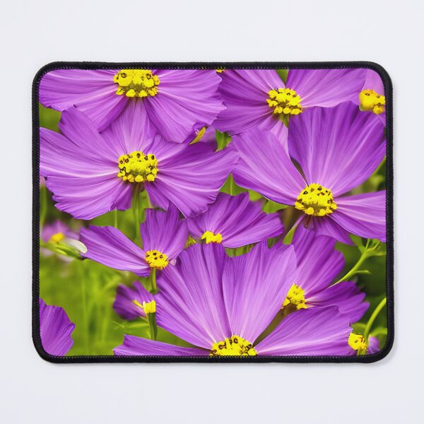 Item preview, cosmos bipinnatus - beautiful decoration of our gardens designed and sold by Rostislav Bouda.
