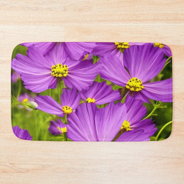 Item preview, cosmos bipinnatus - beautiful decoration of our gardens designed and sold by Rostislav Bouda.