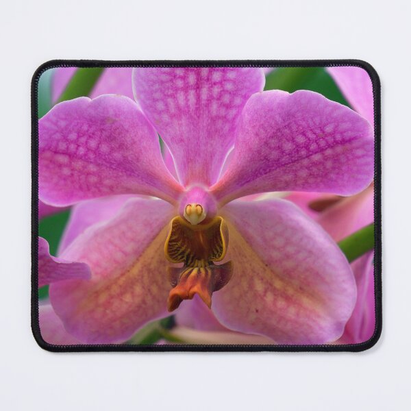 Item preview, closeup of a pink orchid designed and sold by likbatonboot.