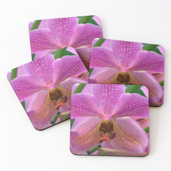 Item preview, closeup of a pink orchid designed and sold by likbatonboot.