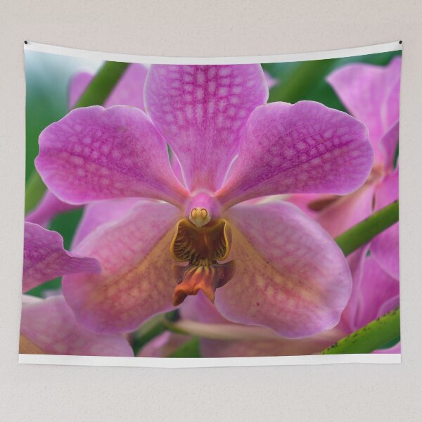 Item preview, closeup of a pink orchid designed and sold by likbatonboot.