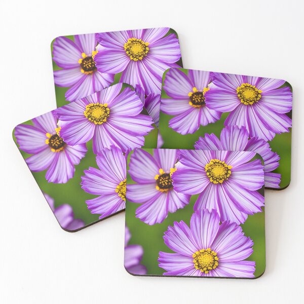 Item preview, cosmos bipinnatus - a beautiful decoration of our gardens 3 designed and sold by Rostislav Bouda.
