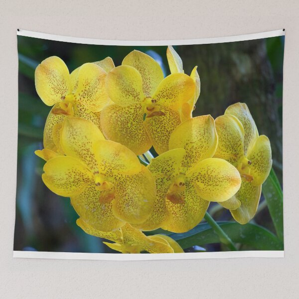 Item preview, closeup of yellow orchids designed and sold by likbatonboot.