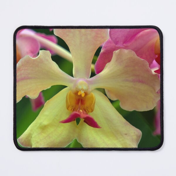 Item preview, closeup of a yellow orchid designed and sold by likbatonboot.
