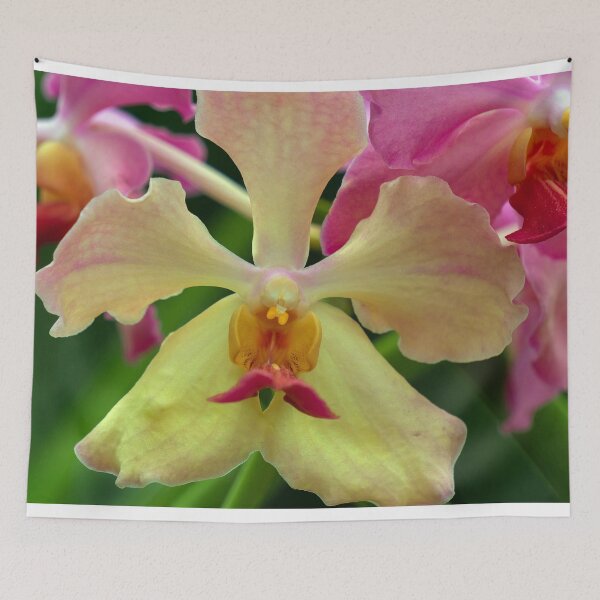 Item preview, closeup of a yellow orchid designed and sold by likbatonboot.