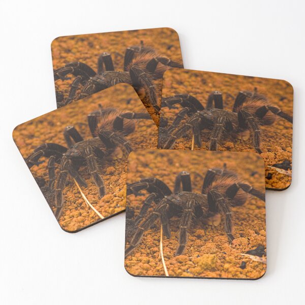 Item preview, cla tarantula designed and sold by pcfyi.