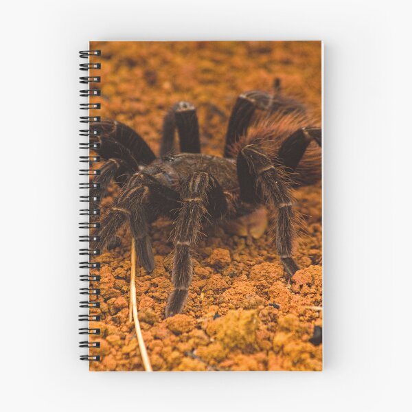 Item preview, cla tarantula designed and sold by pcfyi.