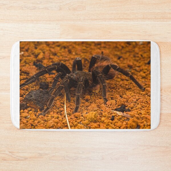 Item preview, cla tarantula designed and sold by pcfyi.