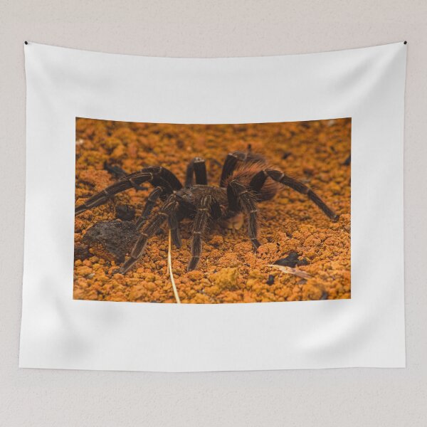 Item preview, cla tarantula designed and sold by pcfyi.