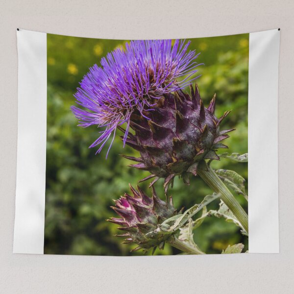 Item preview, Thistle designed and sold by grumpykeith.